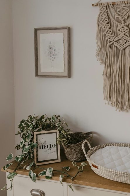 toa-heftiba-GyG8thVBInw-unsplash (1) a green plant in a soft natural setting